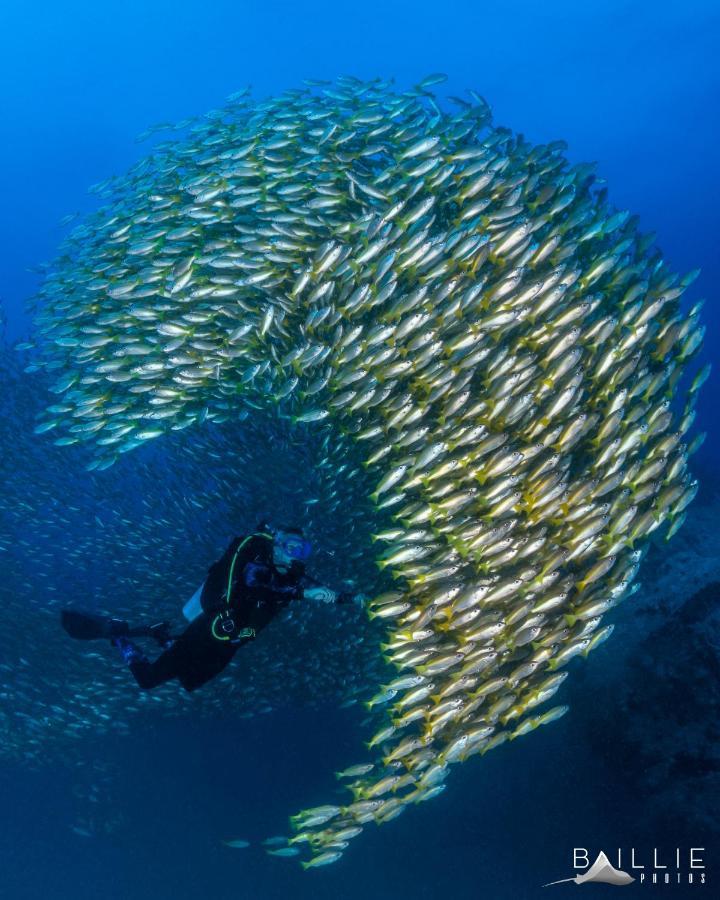 Hydronauts Diving Resort - 涛岛 外观 照片