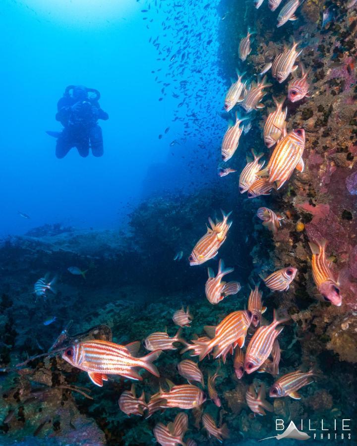 Hydronauts Diving Resort - 涛岛 外观 照片