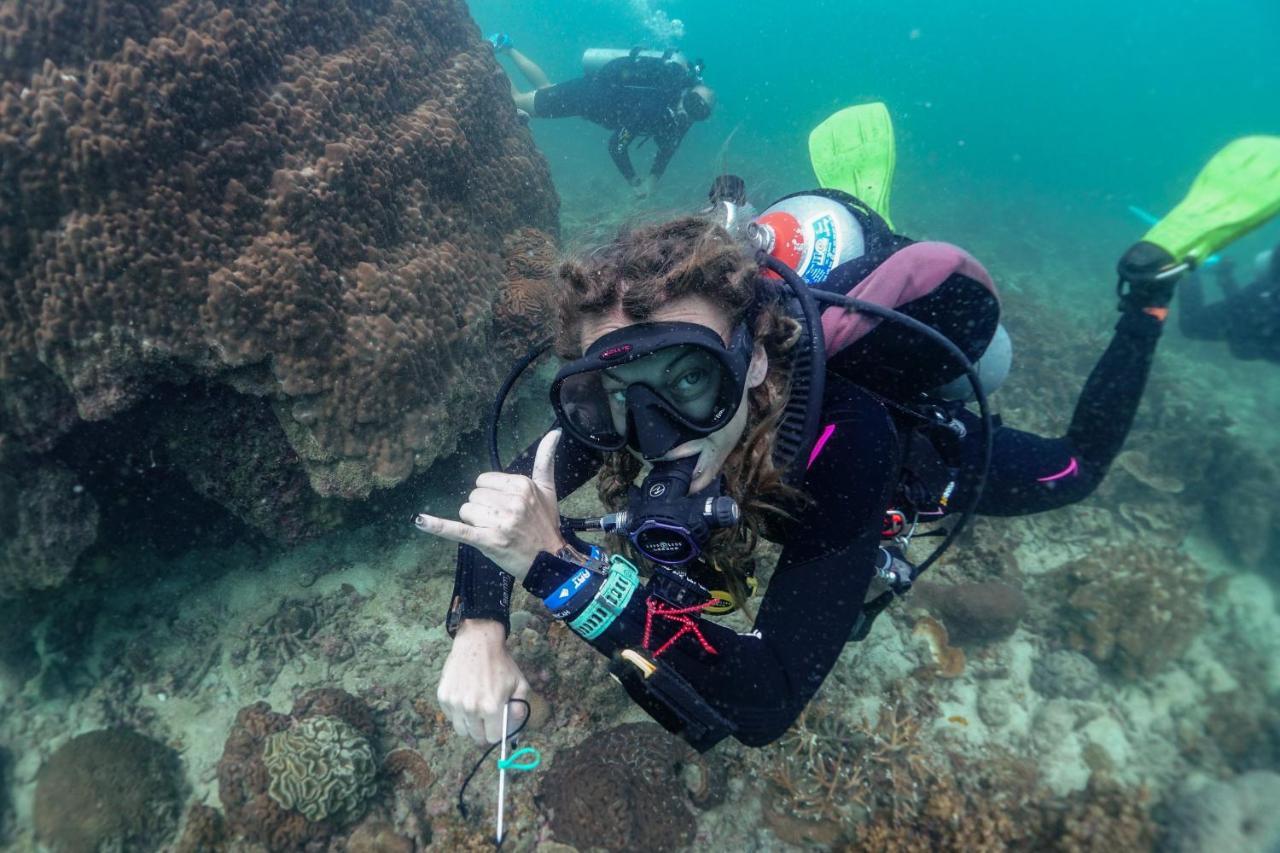 Hydronauts Diving Resort - 涛岛 外观 照片